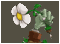 icon.png